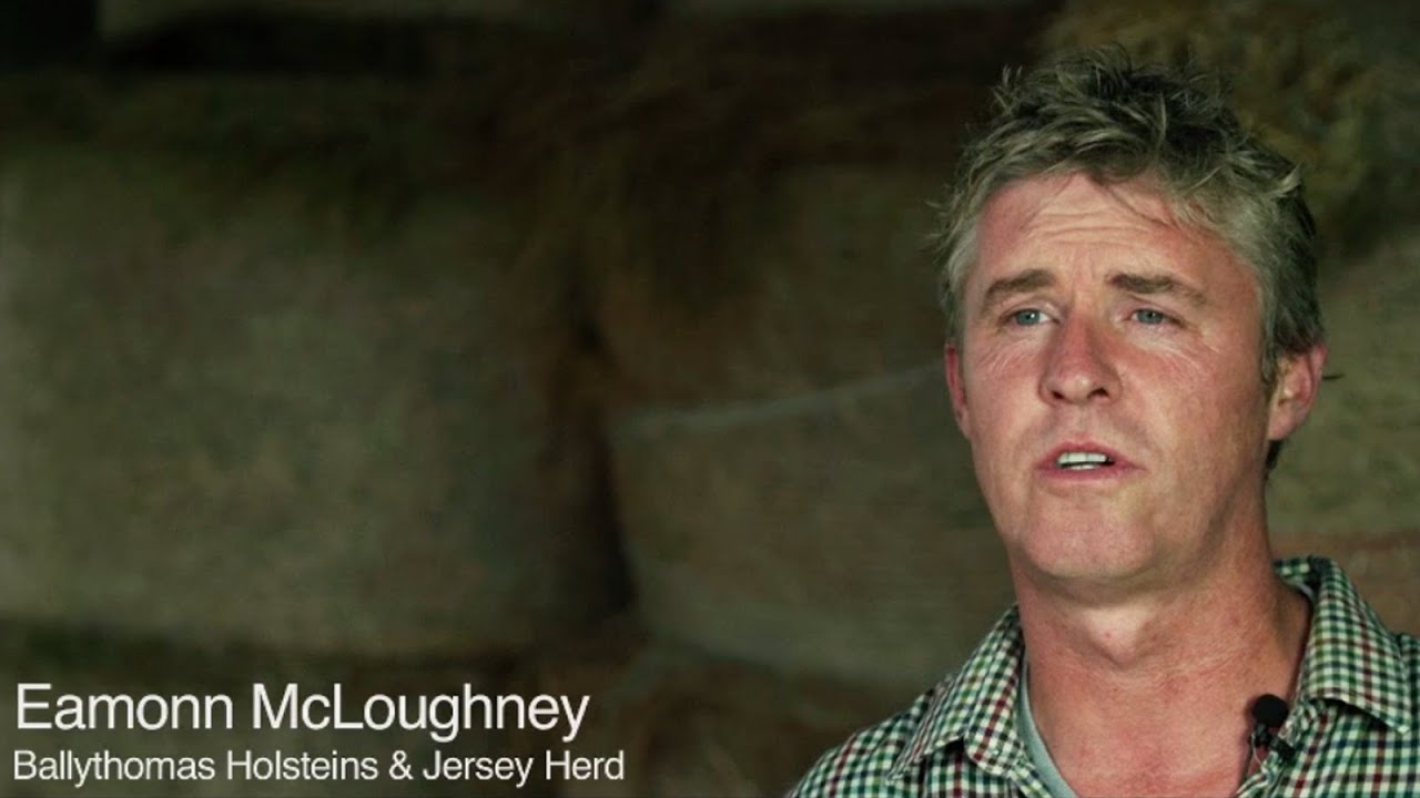 Rispoval IBR Protection (Eamonn) | from Zoetis