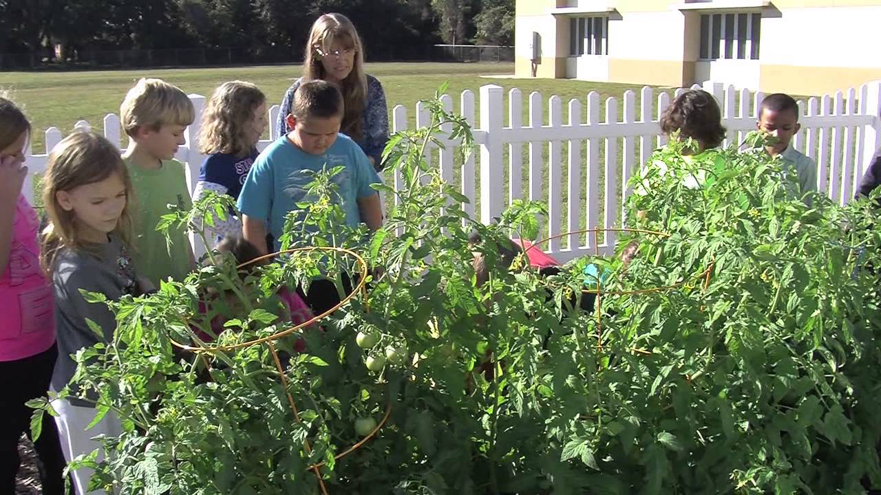 Wilkinson Elementary School - Student Garden