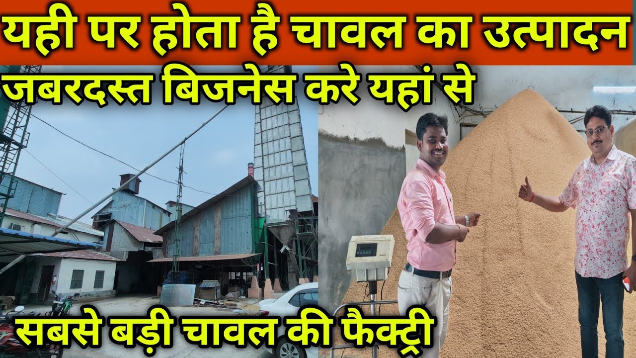 यही पर होता है चावल का उत्पादन | Rice Mill Factory|  🌾🍚  How To Start Rice Business|