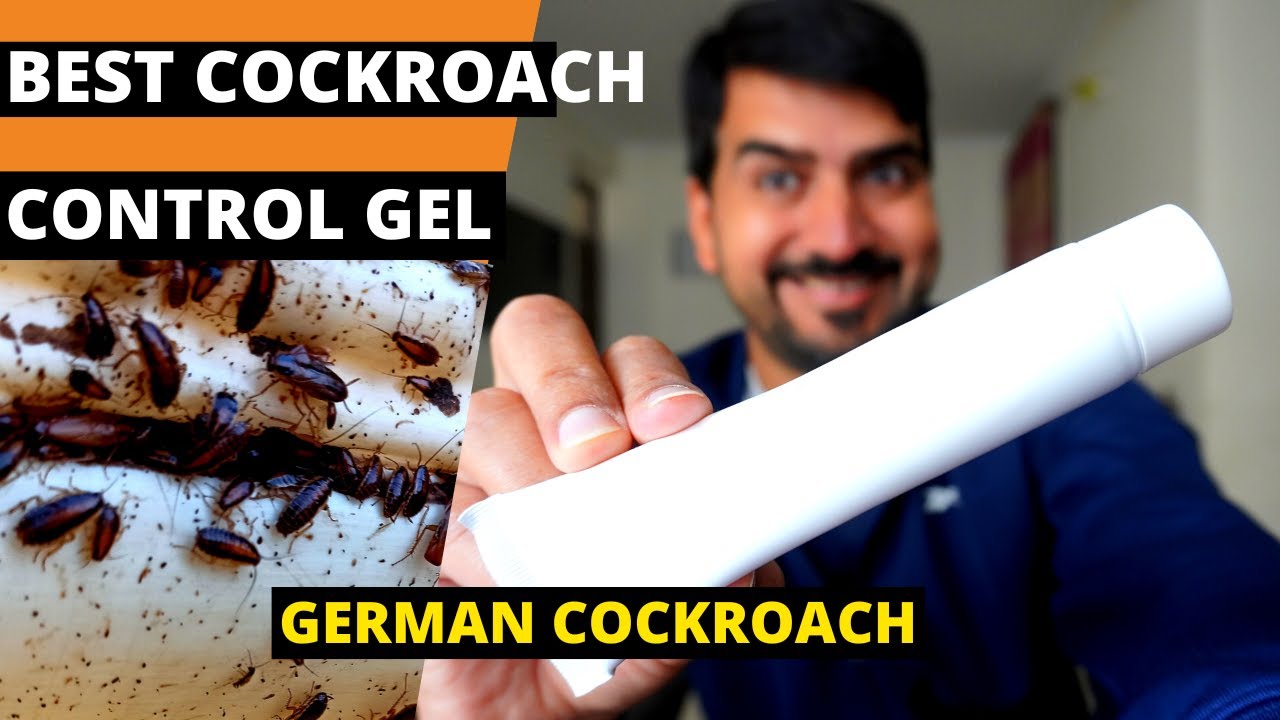 Best cockroach gel | best cockroach repellent for home | Cockroach killer medicine