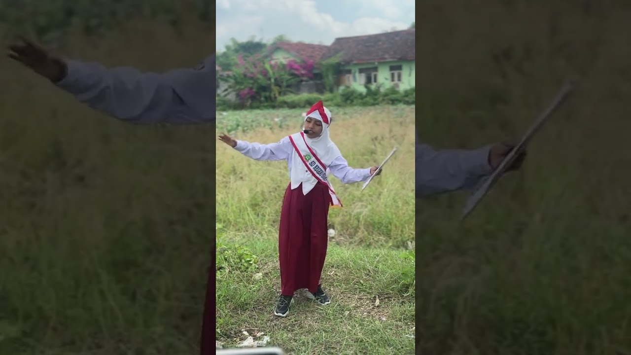PUISI AKU MELIHAT INDONESIA