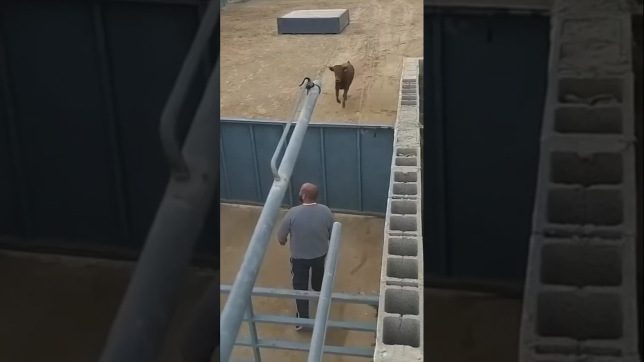 Wait The End 😂😂😂 #shorts #fail #funnyshorts #starword