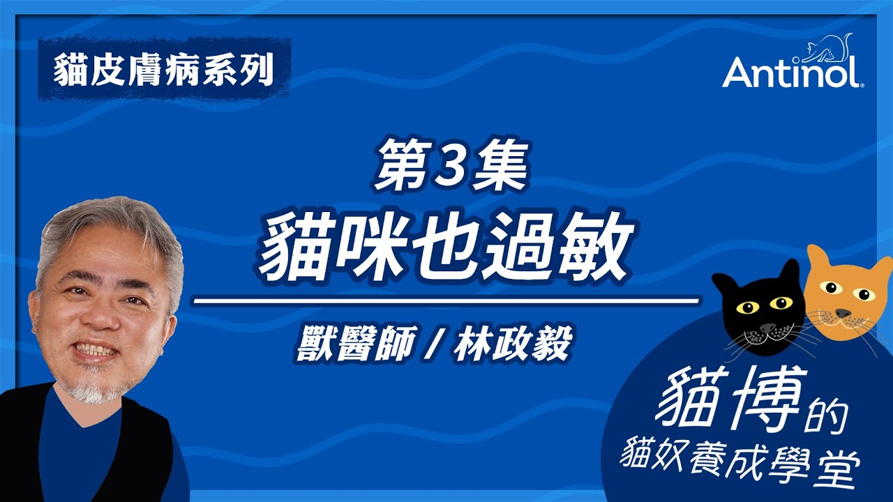 貓博的貓奴學堂｜貓皮膚病系列_第3集｜貓咪也過敏！