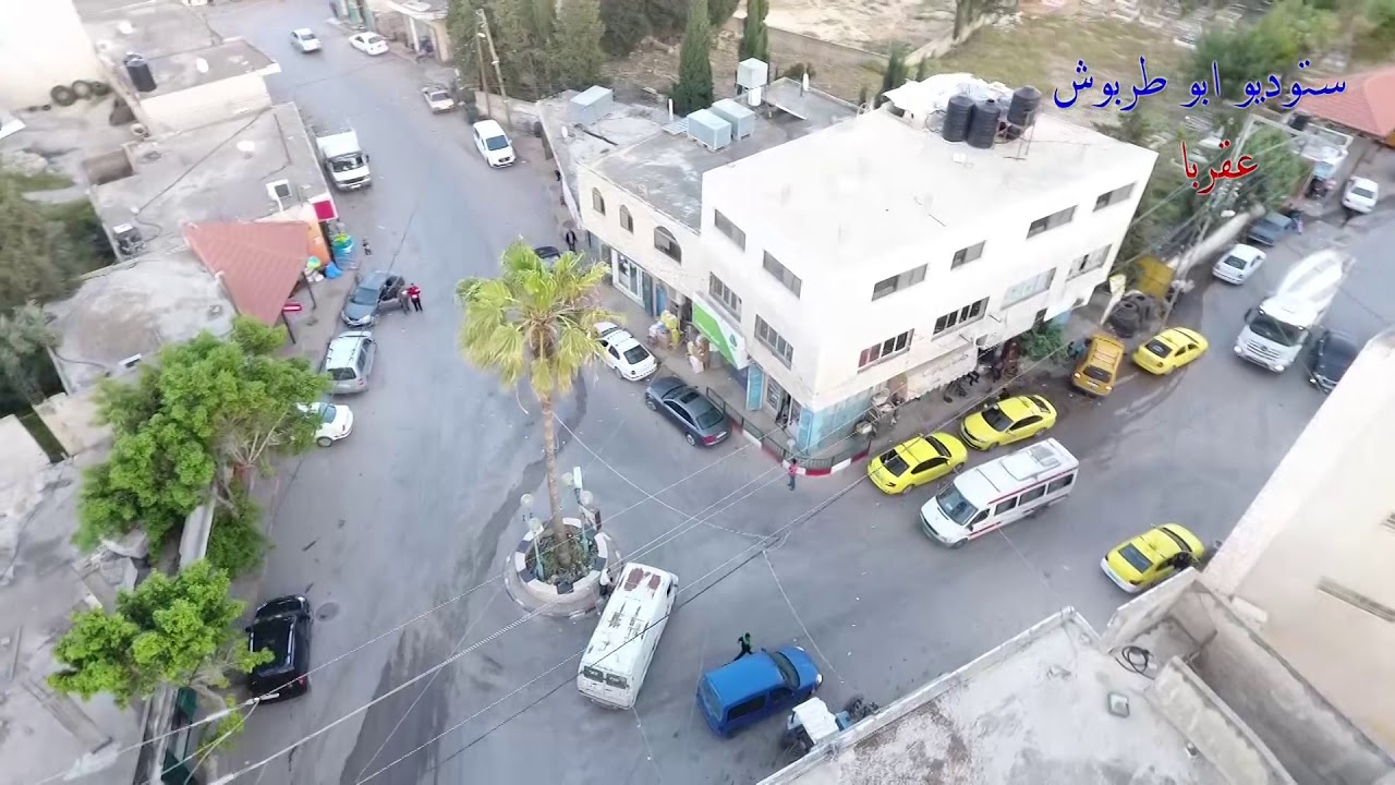 عقربا