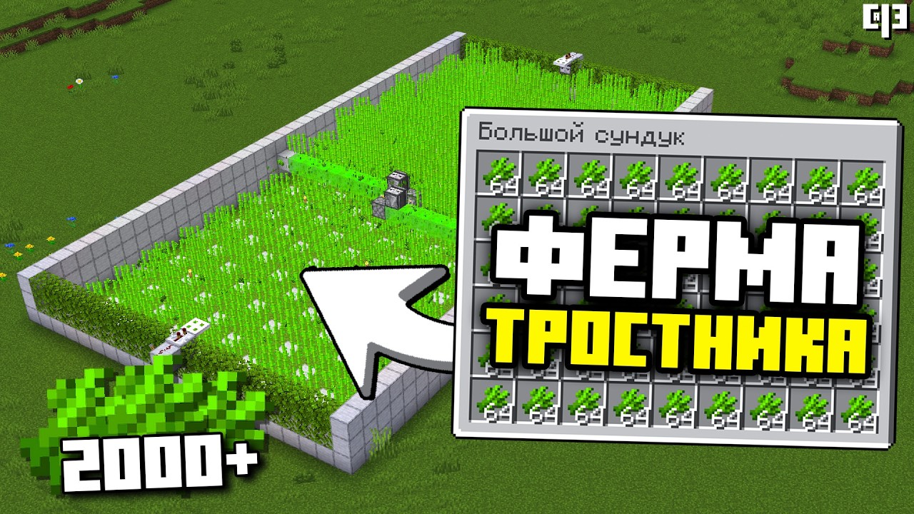 Лучшая ФЕРМА ТРОСТНИКА в Майнкрафт 1.16 - 1.21+ | 2000+ тростника в час