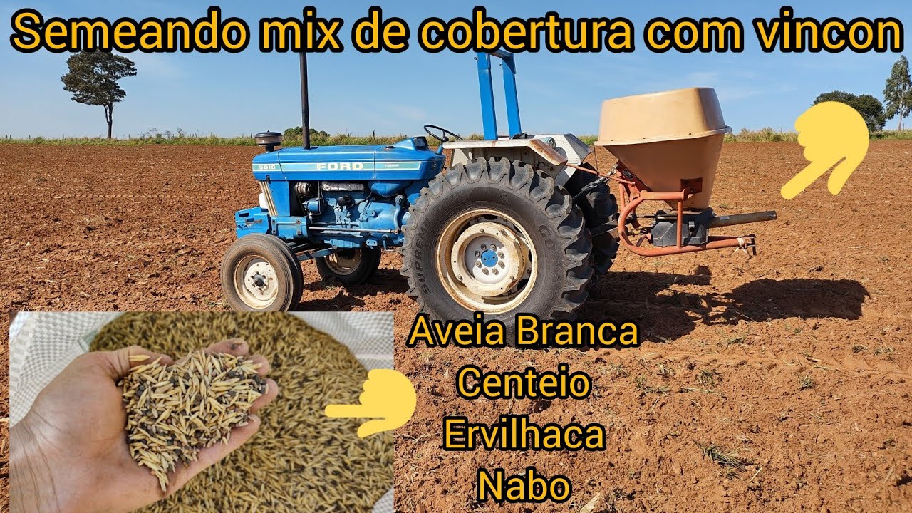 Semeando mix de cobertura de inverno na área que foi milho | Mix de Aveia, centeio, ervilhaca e nabo