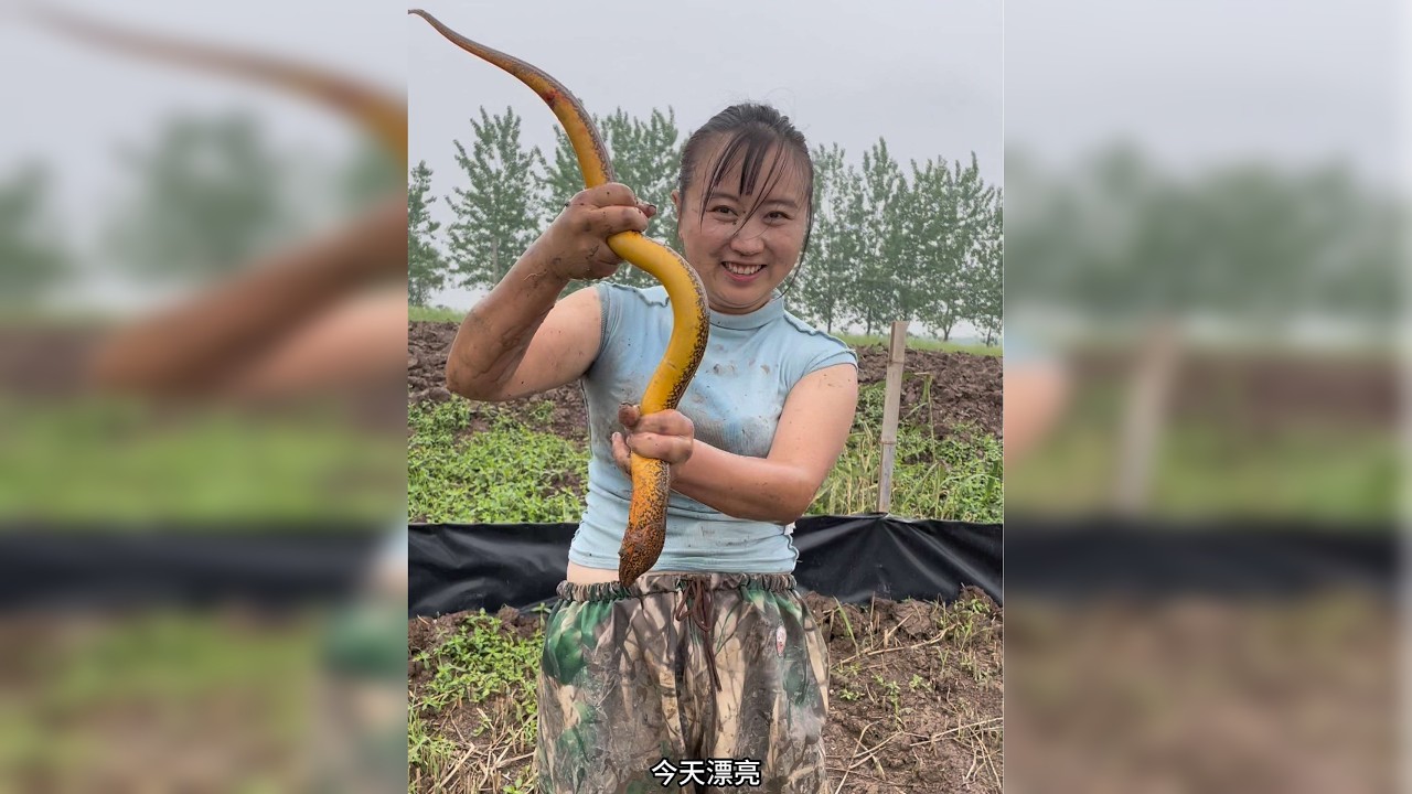 鳝鱼爆口的声音太巴适咯，喜欢户外的人能懂吧！