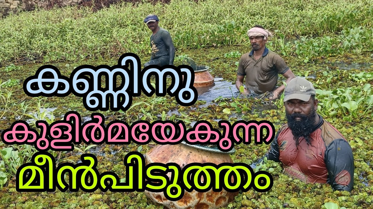 കണ്ണിനു കുളിർമയേകുന്ന മീൻപിടുത്തം # കേരള ഫിഷിംഗ്        # ഫിഷിംഗ് ഓൾ ഇന്ത്യ #മൈ ജോബ് ഫിഷിംഗ്