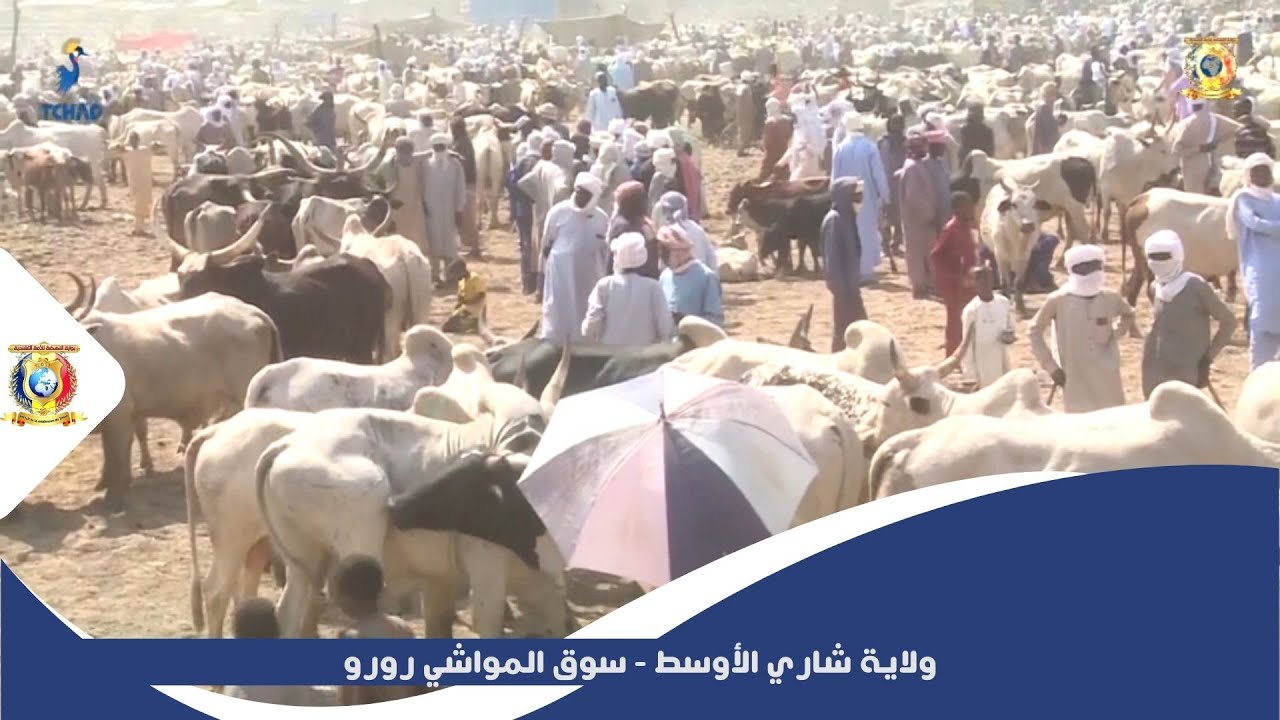 ولاية شاري الأوسط - سوق المواشي رورو