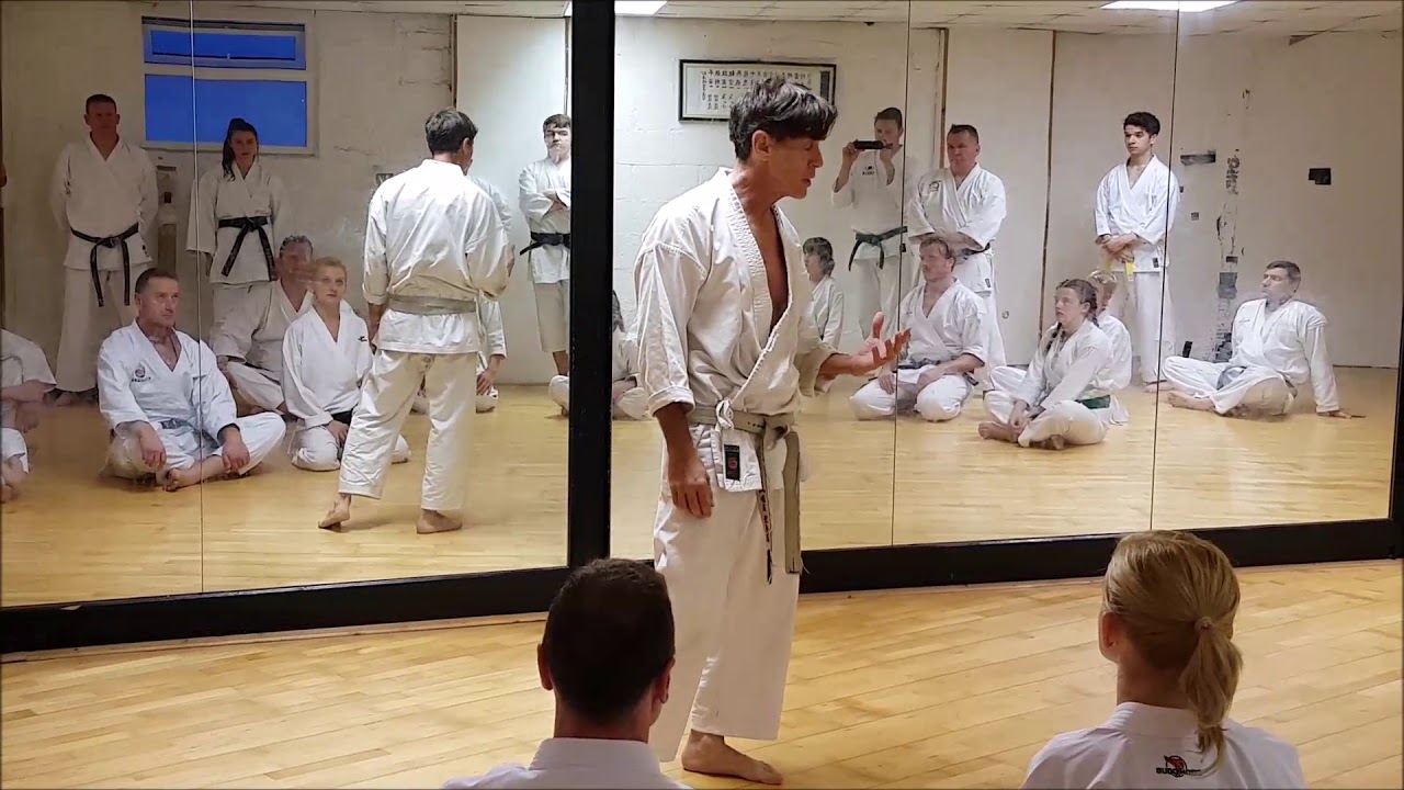 Rick Hotton - Kata, Bunkai and Body Intelligence