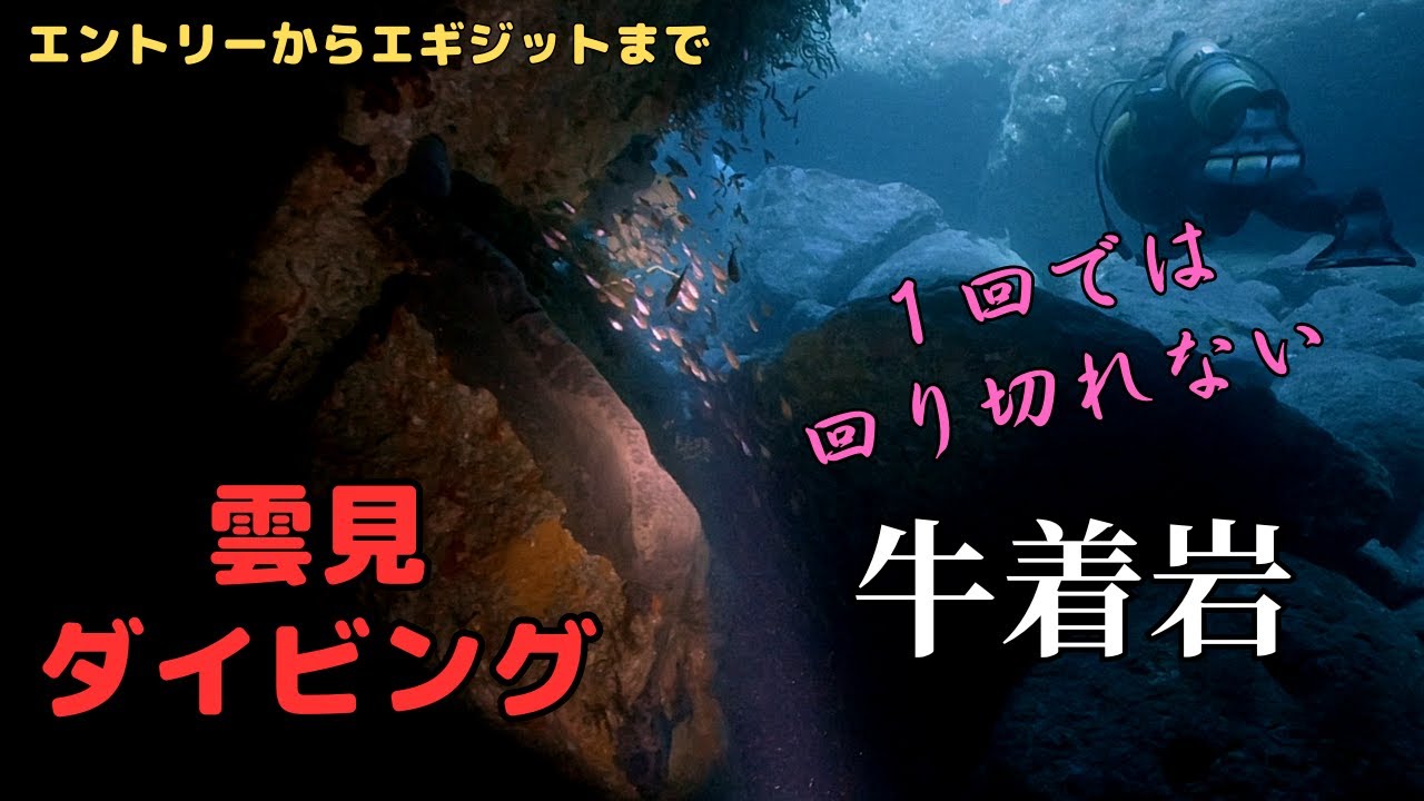 ＜リピート必至＞雲見の牛着岩でダイビングしてきた＜地形といえば＞    I went diving at Ushitsukiiwa in Kumomi     Diving in Japan