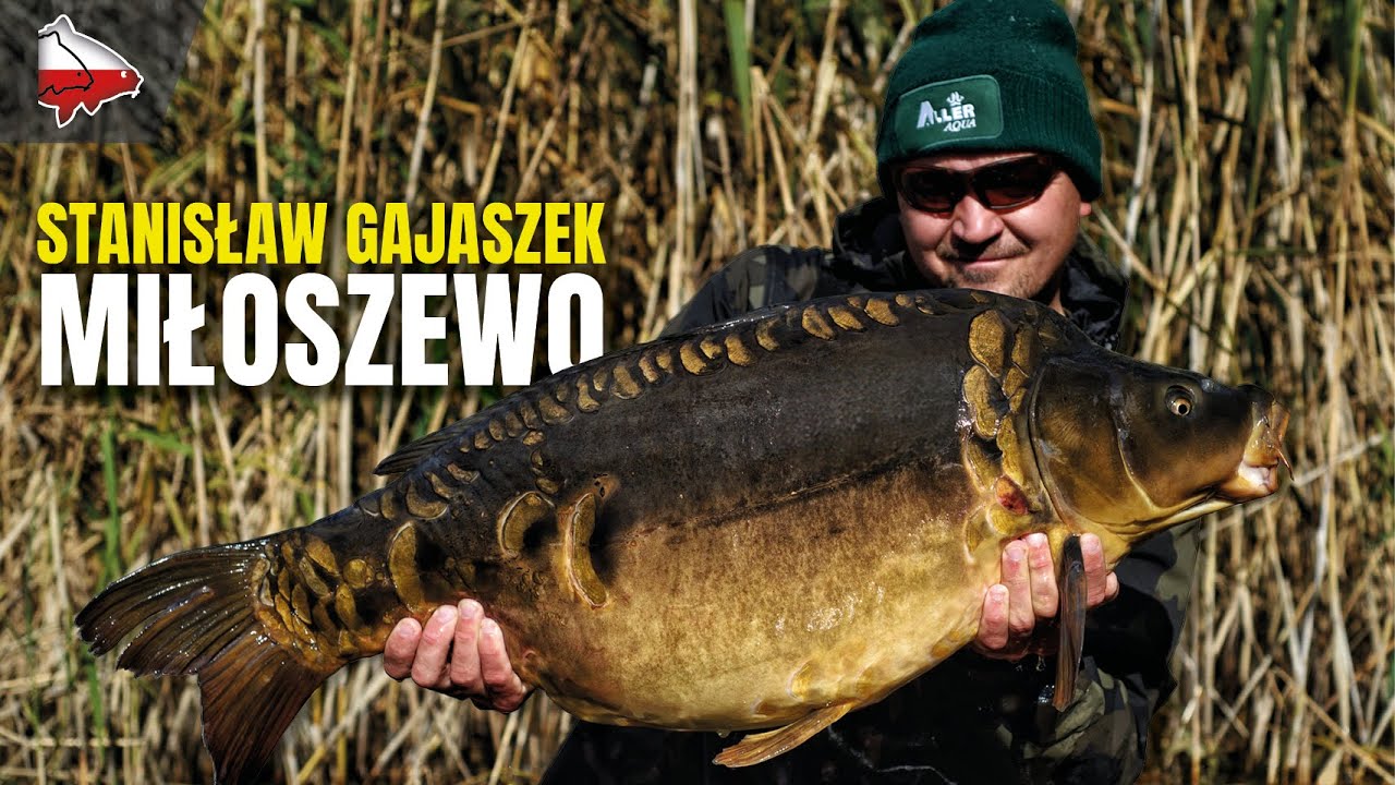 JEZIORO MIŁOSZEWSKIE | Jesienne karpie z głębin (Stanisław Gajaszek)