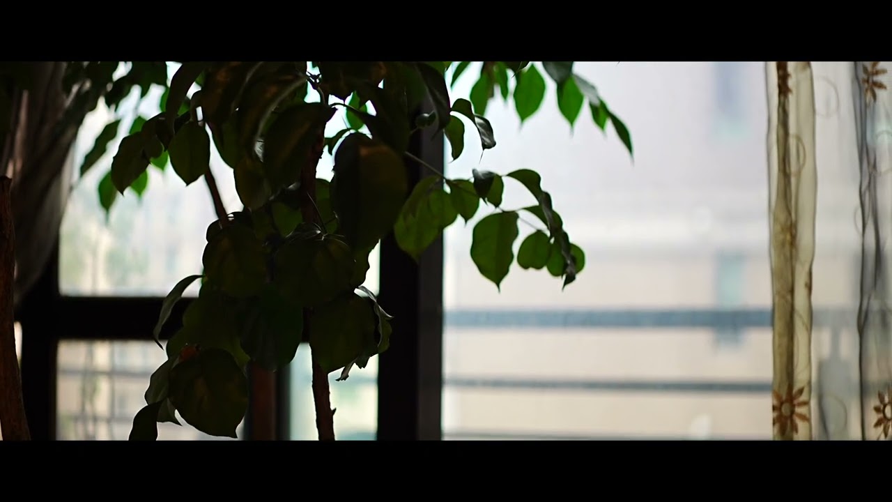 C0698 2 4：1 4K #001 HD 1080p