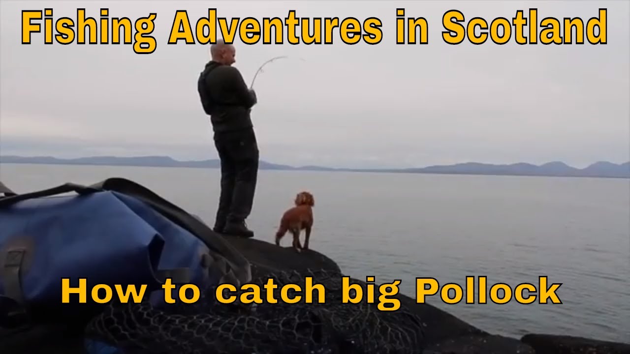 Fishing adventures in Scotland-How to catch big Pollock on lures.