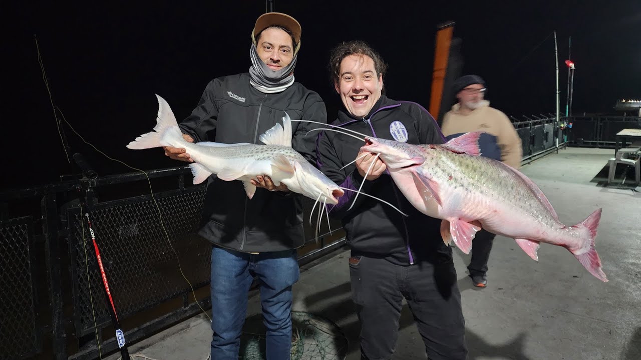 Pesca en el club mitre con amigos y suscriptores salieron dos lindos paty y mucha variada ...