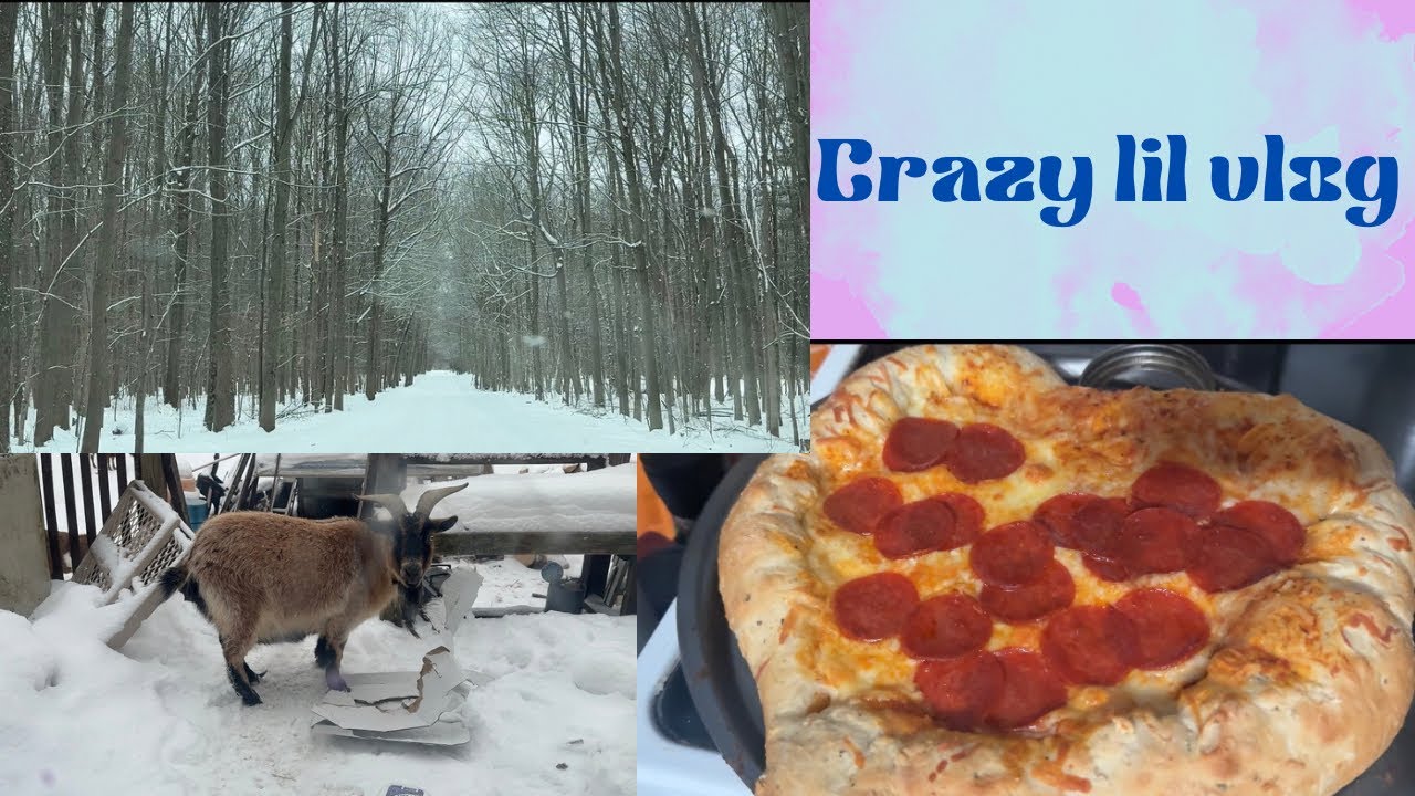 Fun lil vlog 
