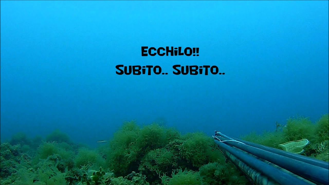 dentice in 23 secondi pesca in apnea Omer HF 110 camu spearfishing Mastrobuoni