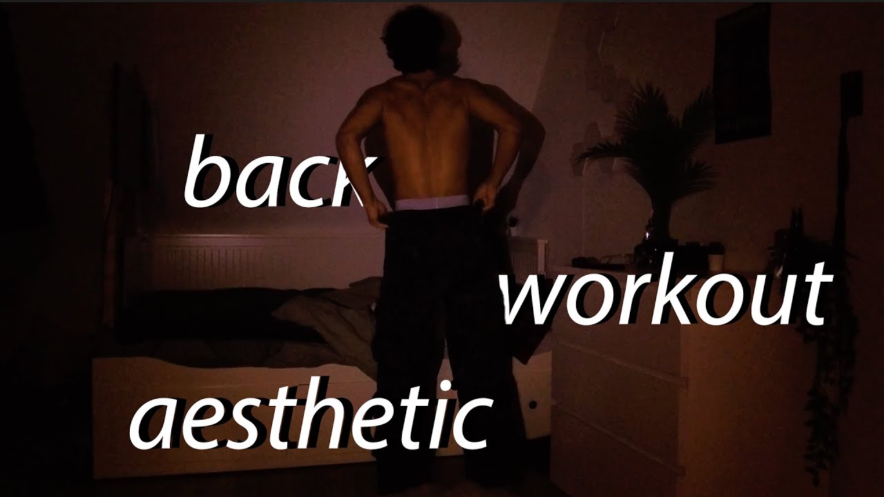 aesthetic middag back workout