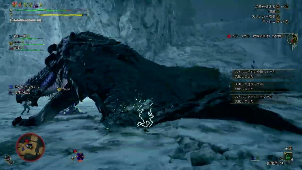 【捕獲】歴戦ゴア・マガラ戦 Monster Hunter Wilds 2026 02 08