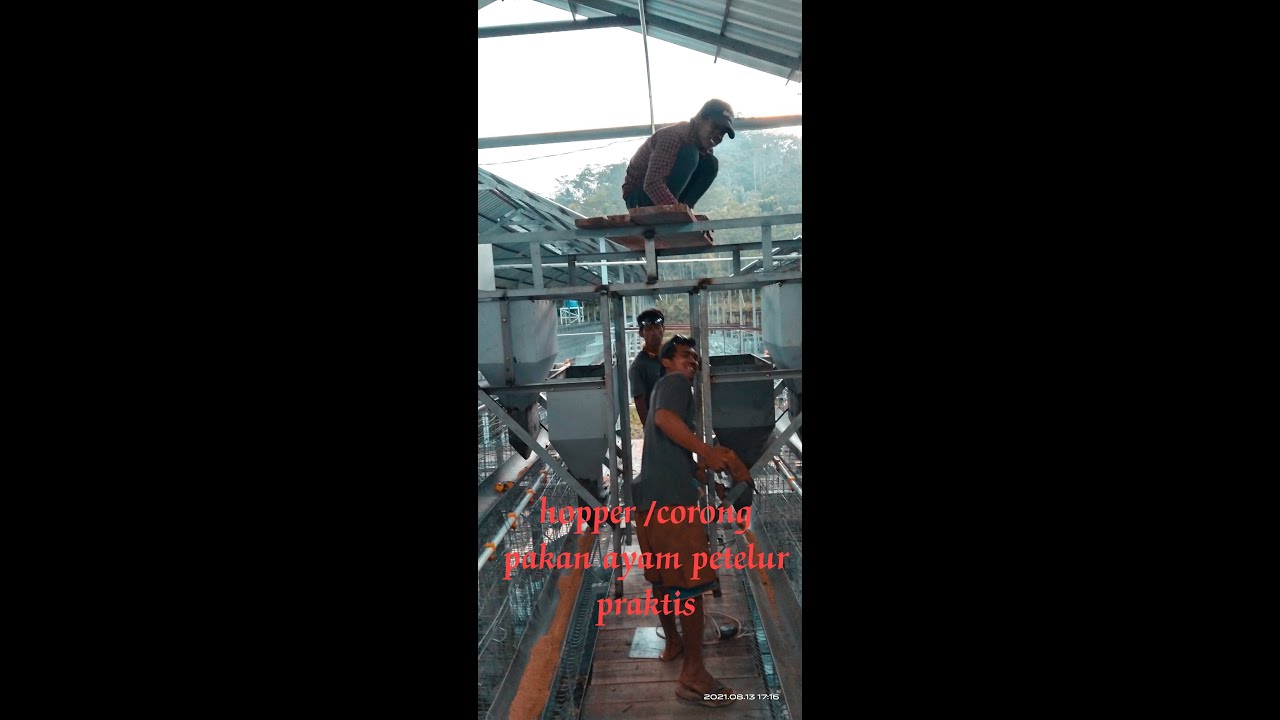 HOPPER/CORONG PAKAN AYAM PETELOR PRAKTIS DAN CEPAT