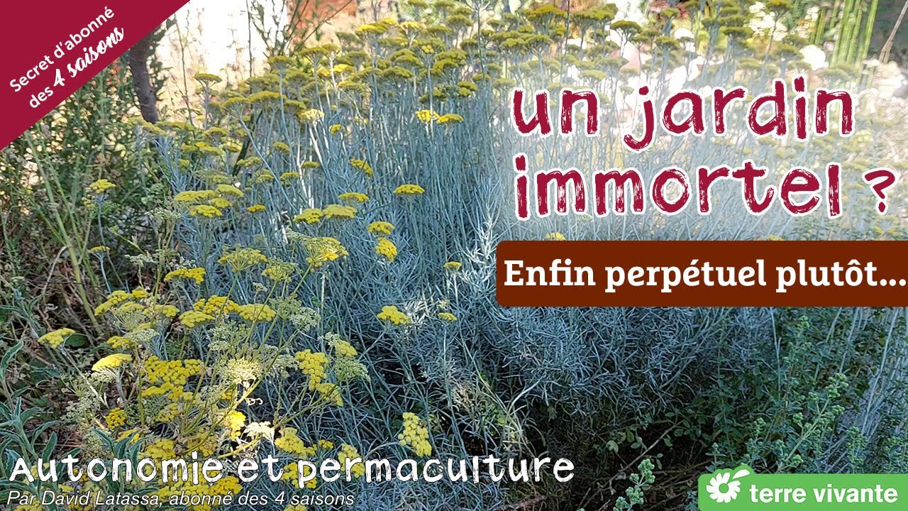Que peut-on mettre dans un jardin perpétuel ? - Autonomie et permaculture avec David