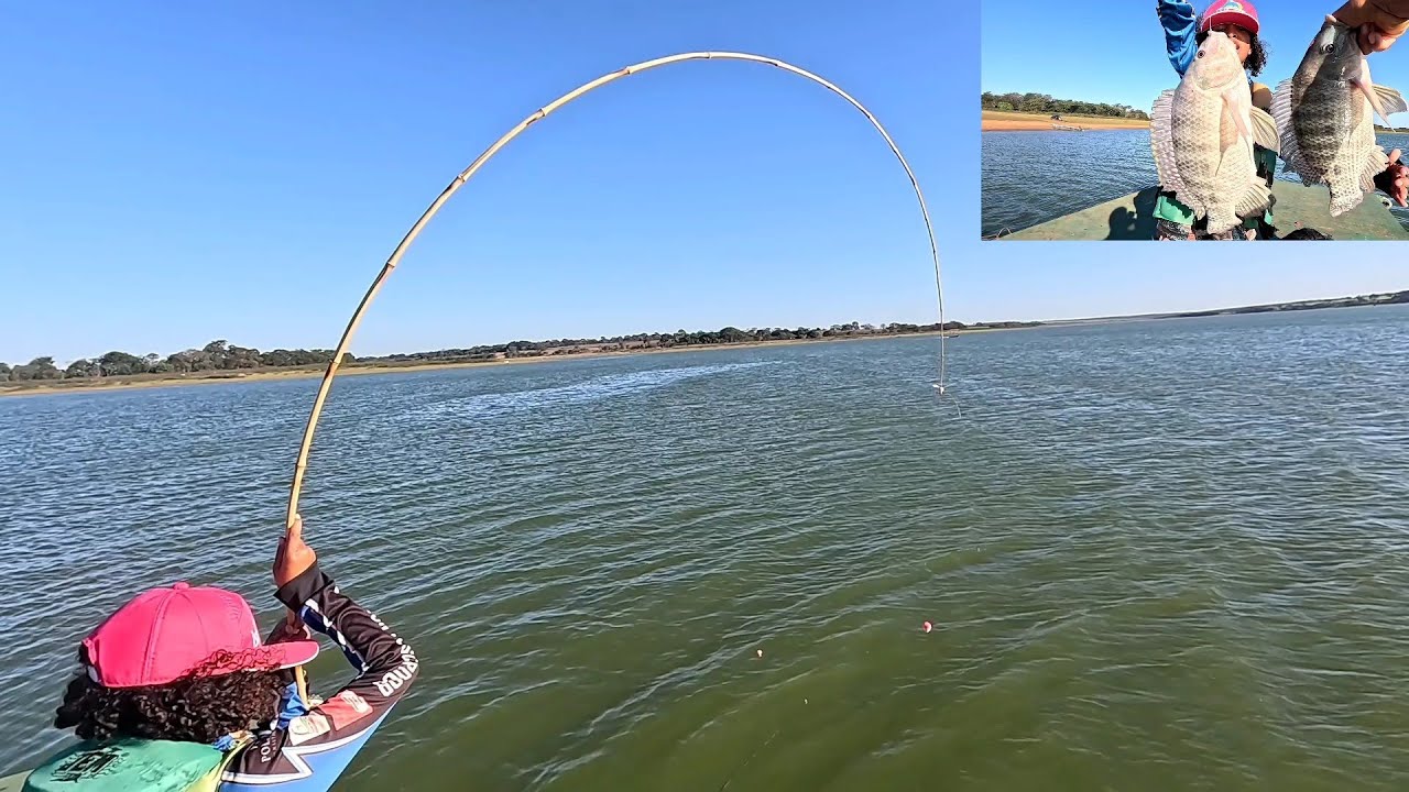 Pescaria de tilápias gigantes não tem como explicar o que aconteceu aqui Peixe demais