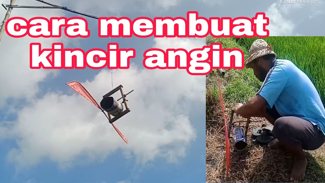 cara gampang membuat kincir angin pengusir burung pipit di sawah#pengusirburungpipit