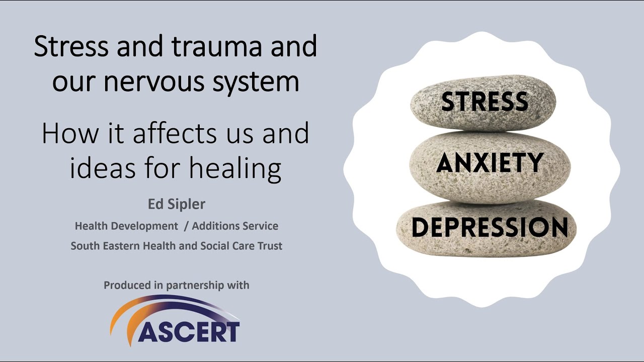 ASCERT NI Webinar | Stress and trauma and our nervous system: How it affects us & ideas for healing