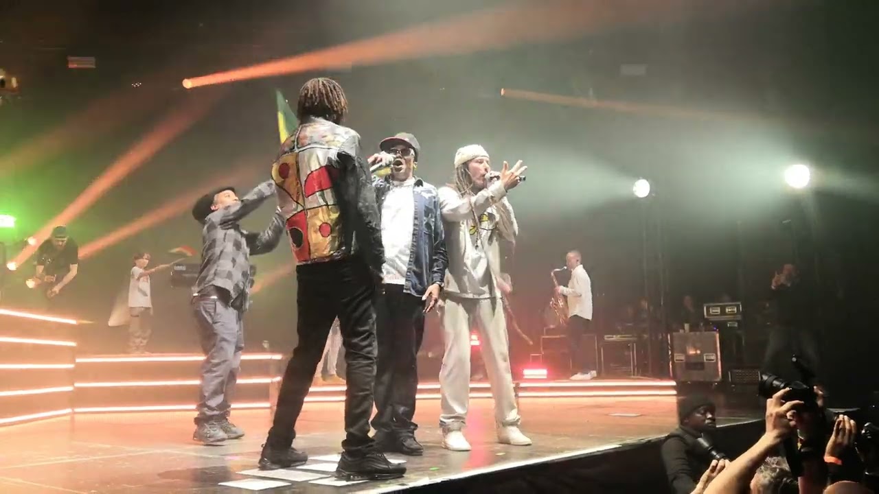 Danakil au Zénith de Paris 22/03/25. Rouge jaune vert Yaniss Odua