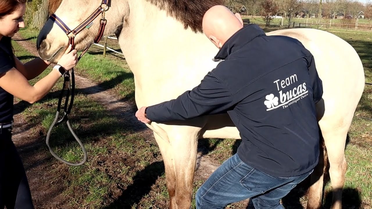De juiste maat Bucas deken. Meten = weten