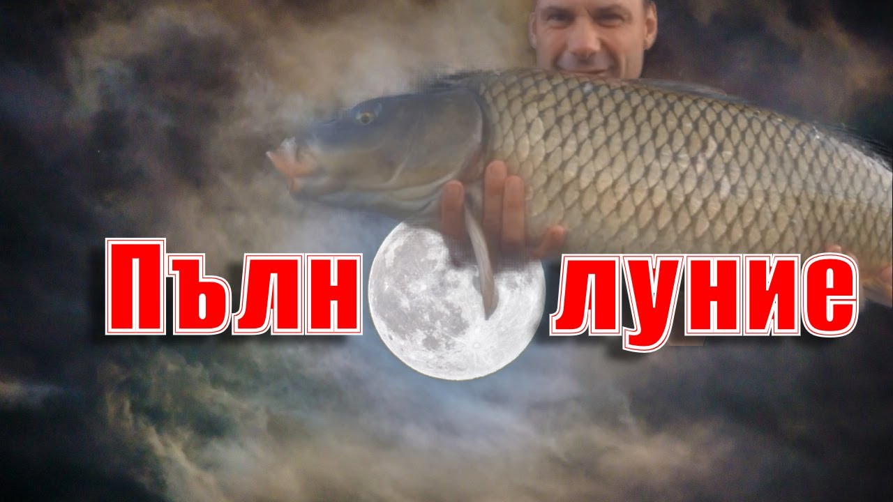 Риболов на шаран: Пълнолунието (2023)