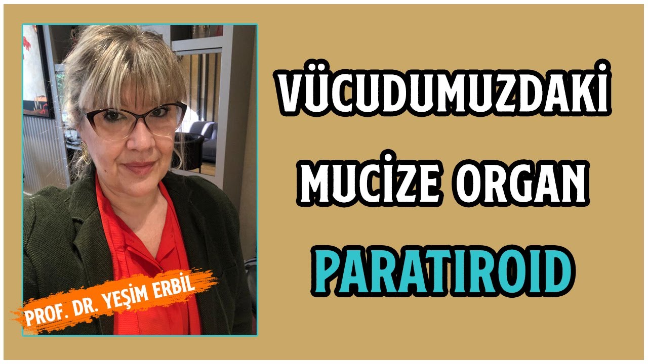 Vücudumuzdaki Mucize Organ Paratiroid | Tüm Kalsiyum Dengemizi Sağlamaktadır