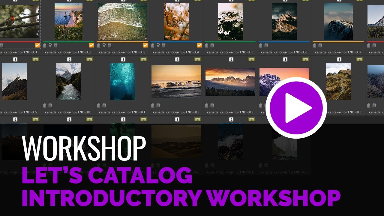 Let's Catalog - Introductory Workshop