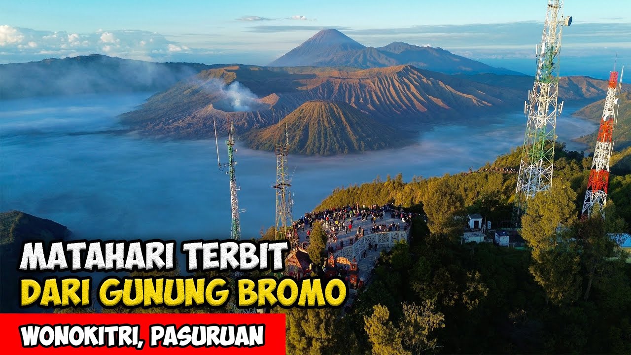 PESONA SUNRISE DI GUNUNG BROMO !! SUASANA DESA SUKU TENGGER - Cerita Desa Tosari, Bromo, Jawa Timur