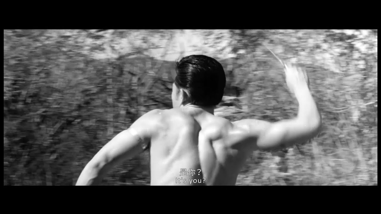 《泰山寶藏》2019數位修復預告片 &ldquo;Tarzan and the Treasure&rdquo; digitally remastered  Trailer