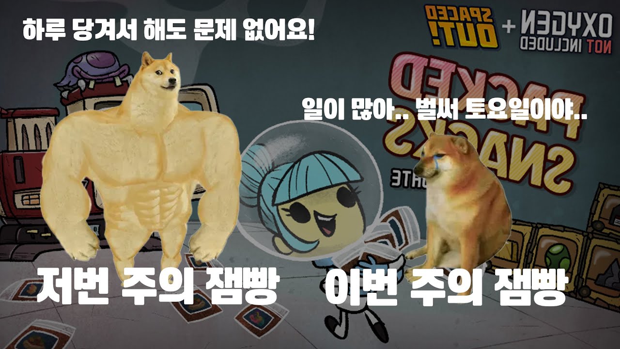 저번 주의 잼빵 너무 강하다아아앗!!!🥪
