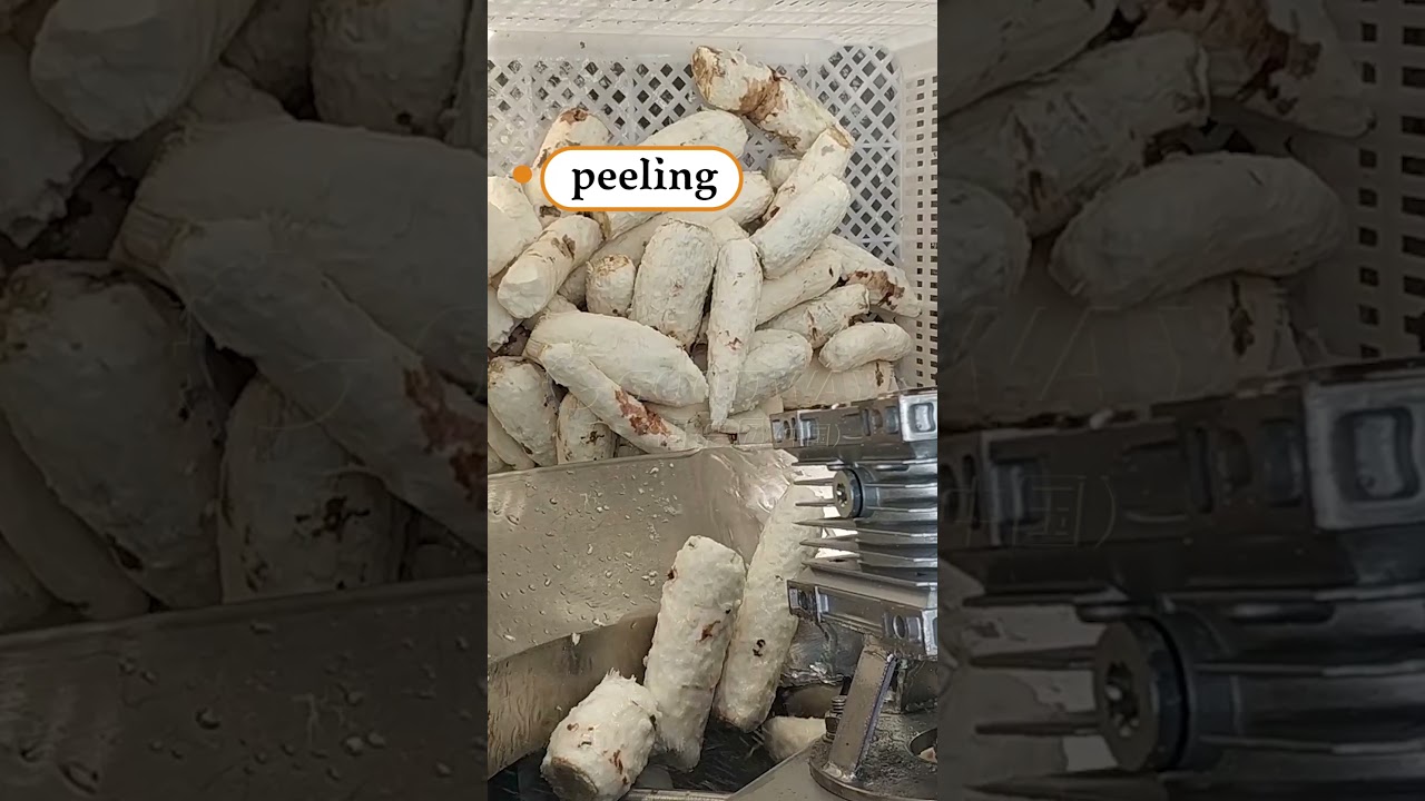 how&nbsp;to&nbsp;process&nbsp;cassava&nbsp;into&nbsp;garri&nbsp; -1?