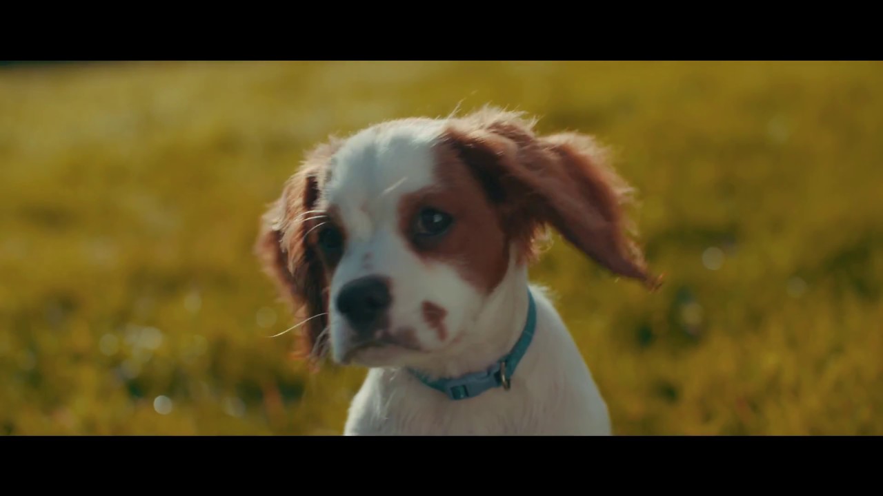 Original Concept Productions | We Make You Happy