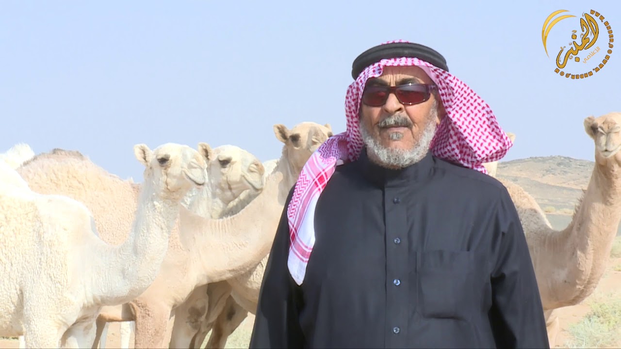 منقية رمانات  لرجل الاعمال صالح حواس القحم الميزاني ورجل الاعمال صقر حواس القحم الميزاني