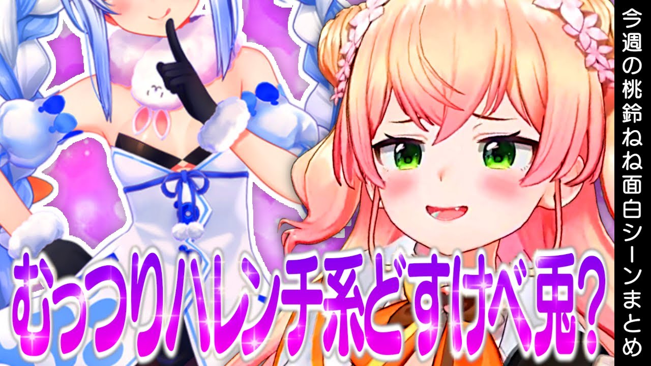 【5月3週目】今週の桃鈴ねね面白シーンまとめ【桃鈴ねね 博衣こより 戌神ころね 尾丸ポルカ 沙花叉クロヱ 白上フブキ ホロライブ 切り抜き動画】ねねち最強伝説