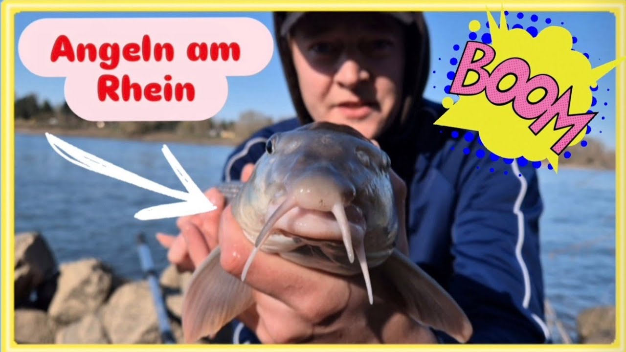 ANGELN am RHEIN 2026 🎣😊. BRUTALER BISS 😵😵😵