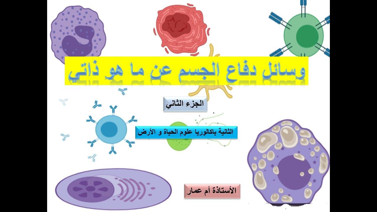 أجي نتعرفو على وسائل دفاع الجسم عن ما هو ذاتي..المسلك الخلطي للمناعة النوعية