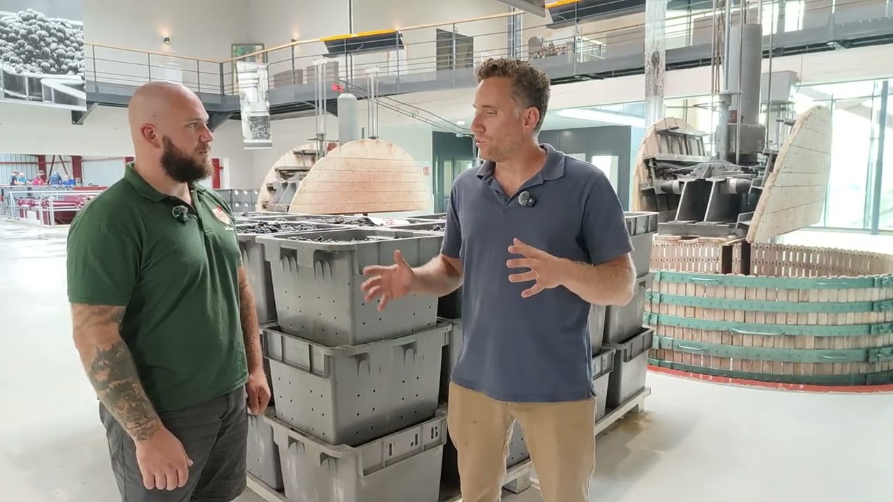 Vendanges 2025 en Champagne
