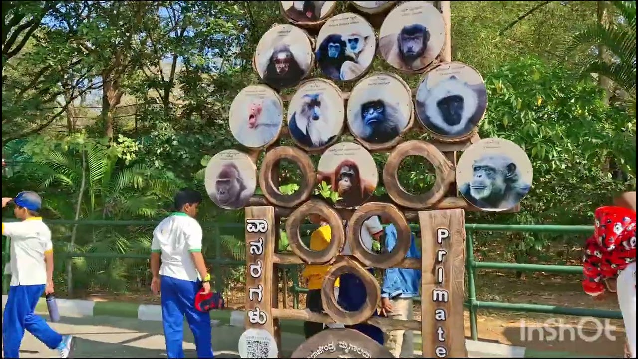 Mysore zoo exploring ....