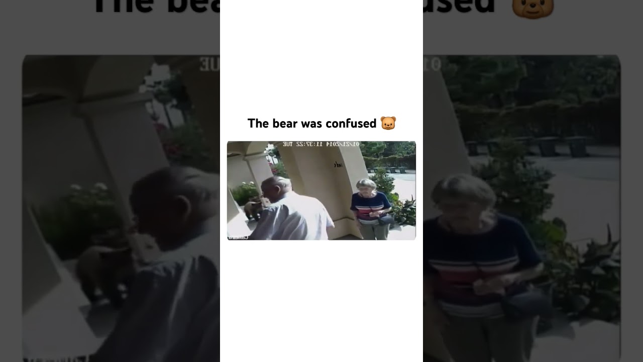 Bear 🐻  am i a joke to you! 😑 