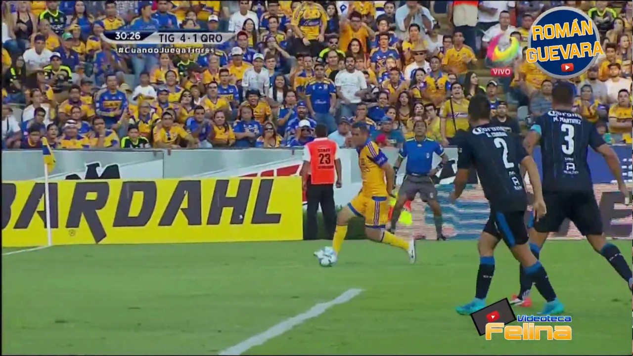 Los Goles Que Llevó A TIGRES Al Campeonato Apertura 2015 Liga Mx HD