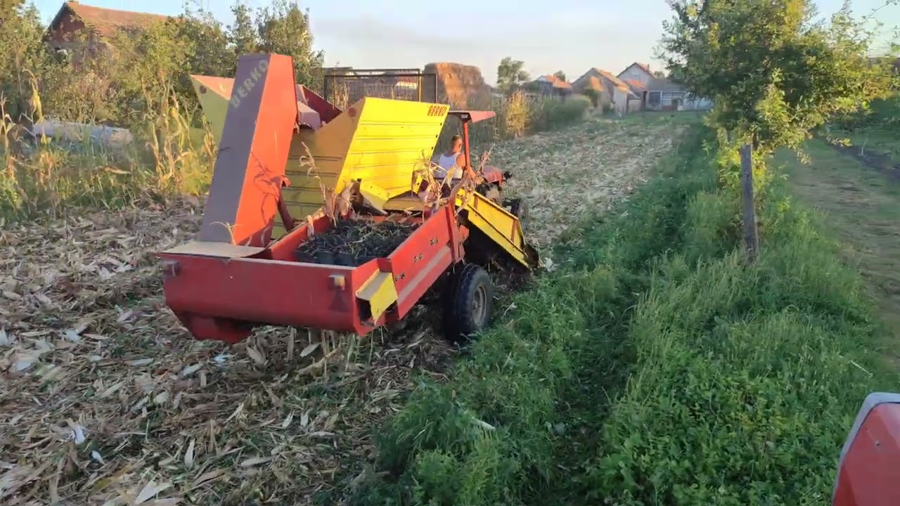 IMT 533 F i berač dvoredni Berko Mol-branje 2023