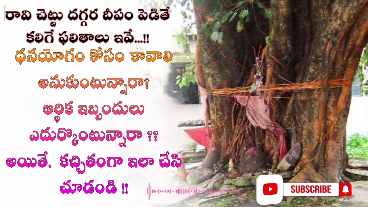 రావిచెట్టు దగ్గర దీపం పెడితే|కలిగే ఫలితాలు|తెలుగు| సంస్కృతి|#jivanam |#devotional|#deepam