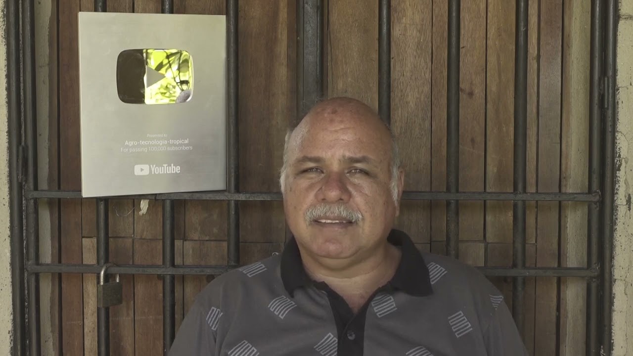 ¿Es Fusarium realmente un hongo malo?