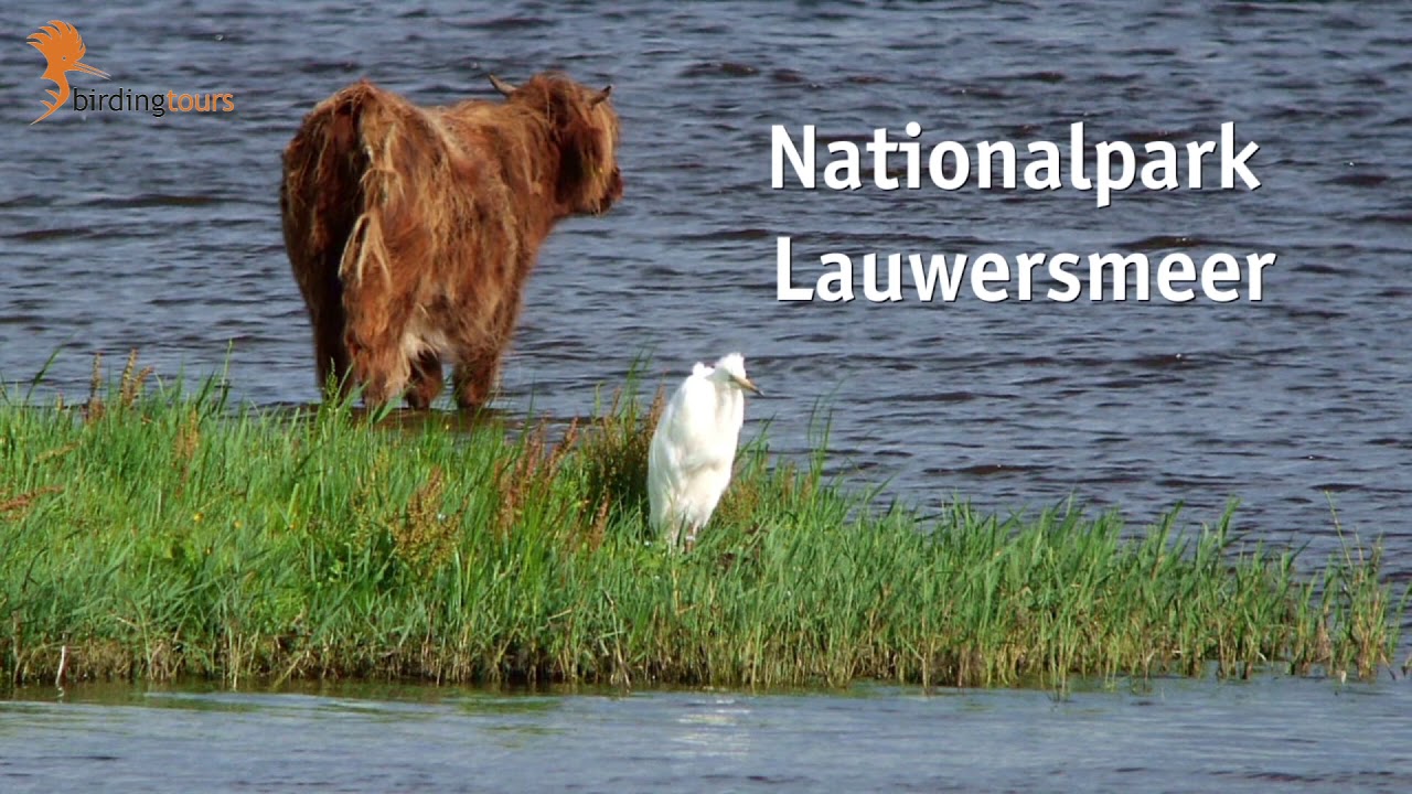 Lauwersmeer in Westfriesland -- eine Reise